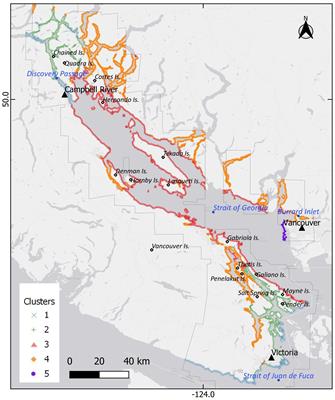 Back to the past: long-term persistence of bull kelp forests in the Strait of Georgia, Salish Sea, Canada
